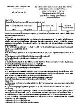 Đề thi chọn đội tuyển học sinh giỏi trường môn Sinh học Lớp 11 (Vòng 1) - Năm học 2019-2020 - Trường THPT Triệu Sơn 5 (Có đáp án)
